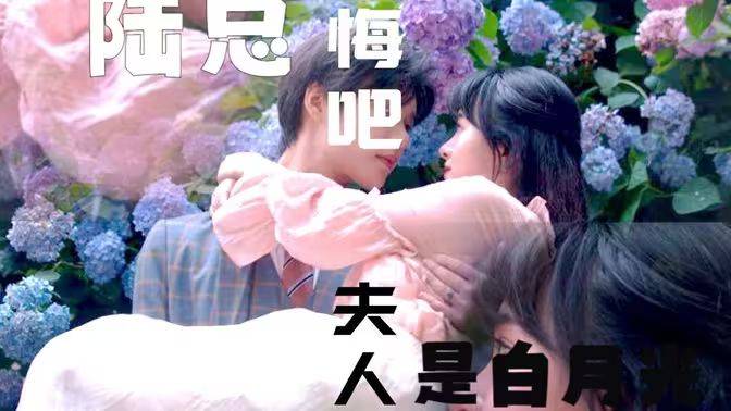陆总忏悔吧，夫人才是白月光 - 全集完结_主创访谈_明杰解说-剧透网